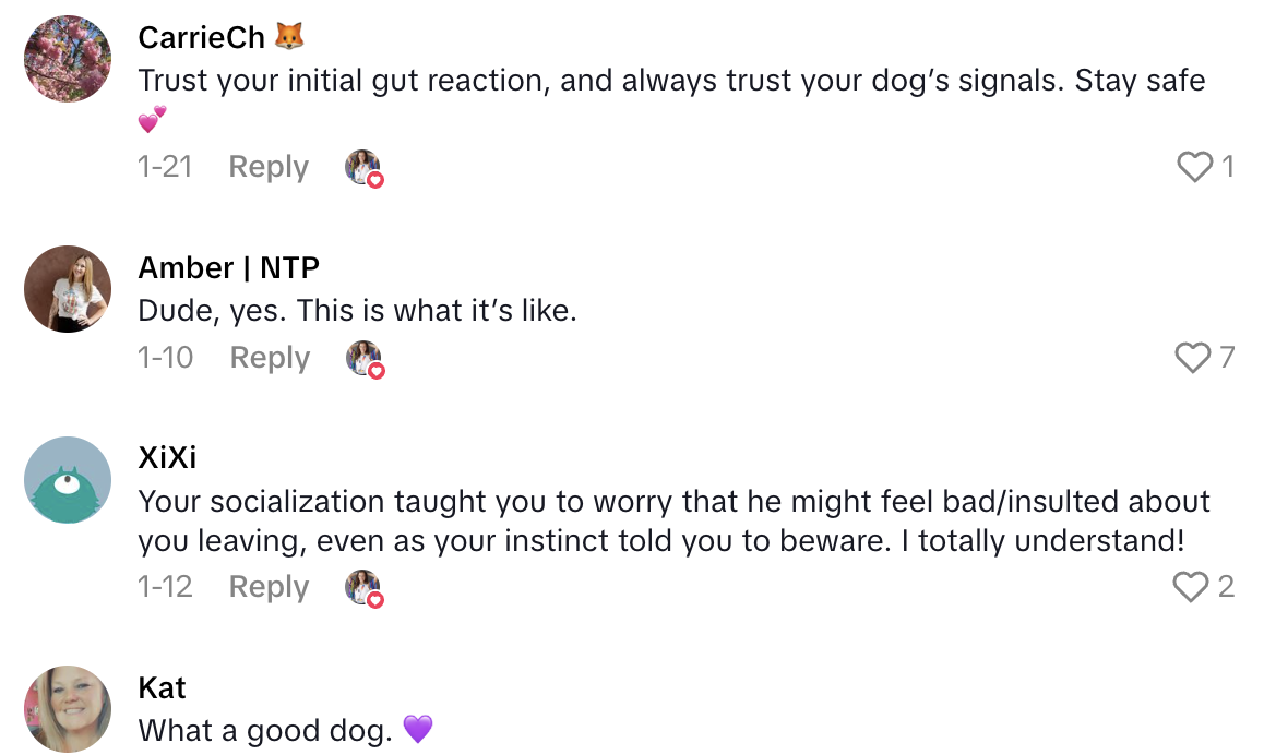 Screenshot 2025 07 02 at 10.19.30 AM Dog Owner Got A Weird Feeling About A Man At A Park And Her Pooch Confirmed Her Suspicions.   This man is gonna think that were leaving because of him.